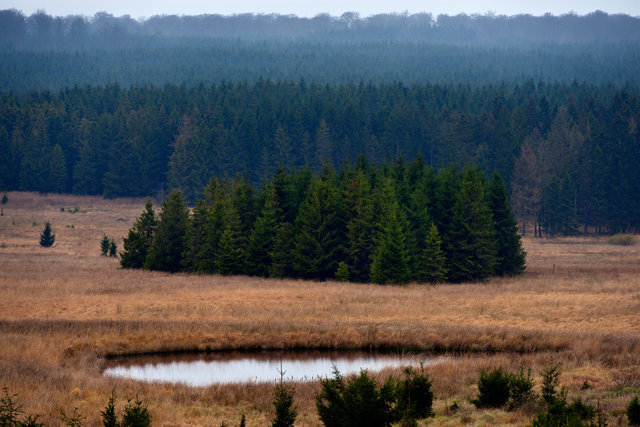 Ardennes Belges 6