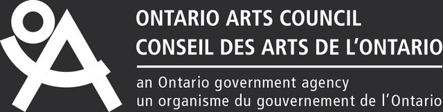 Visual Arts Mid Career Project Grant 2017