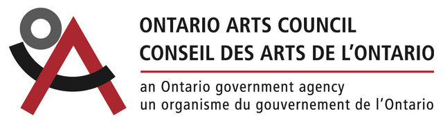 Visual Arts Mid Career Project Grant 2017