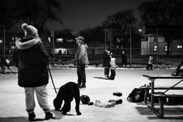 Norwood Park Rink Convergence