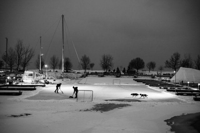Bluffer's Park Marina Rink