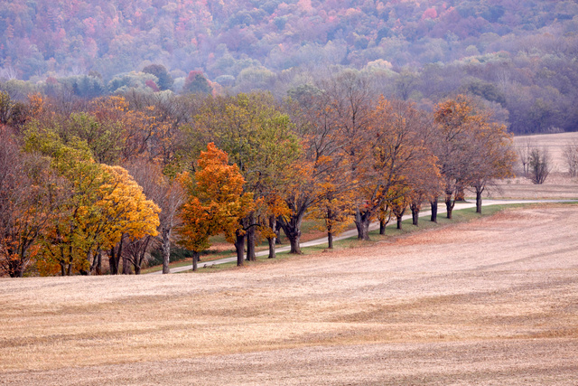 Fall Harvest, Ohio