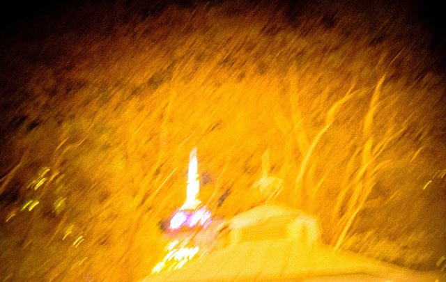 OldColorPhotography (25 of 25).jpg