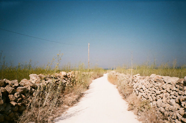23730012neu.jpg