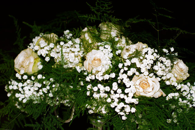 IMG_7564.jpg
