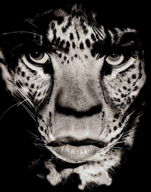 Mick Jagger © Albert Watson