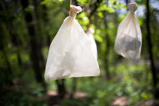 Birds in cloth bags.