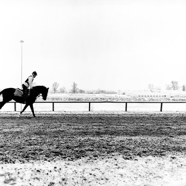 The Thoroughbred Center, Lexington, KY