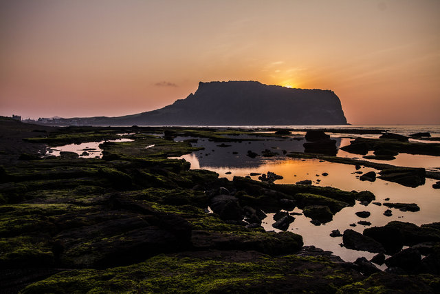 Jeju Island, South Korea. 2013.