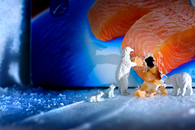 Eisbær