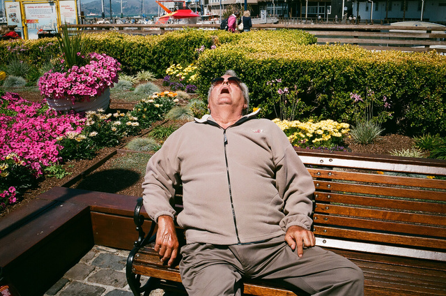 16_gobeur de mouche, San Fransisco.jpg