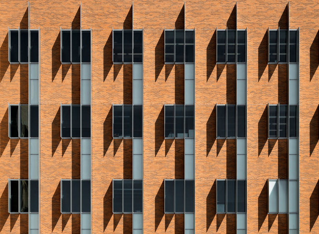 Fin Shadows