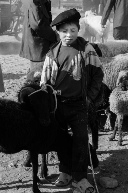 The Uyghurs, Western China