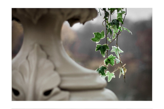 images-for-print_0008_frame-copy-8 copy.jpg