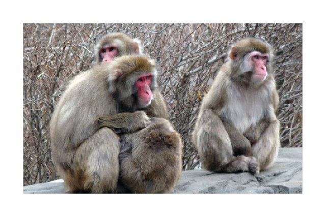 images for print14.jpg