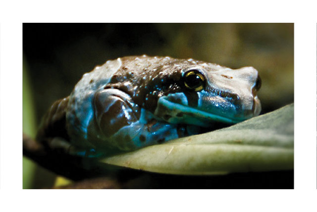 images for print06.jpg