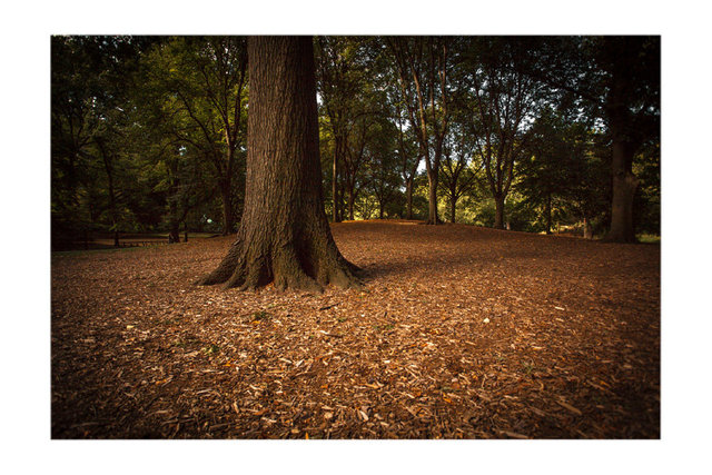 images-for-print_0005_frame-copy-5 copy.jpg