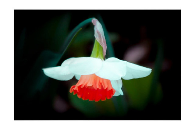 images-for-print_0003_frame-copy-3 copy.jpg