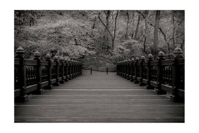 images-for-print_0004_frame-copy-4 copy.jpg