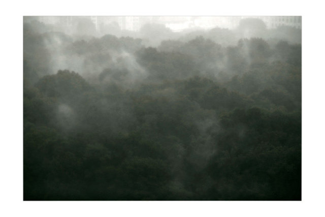 images-for-print_0016_frame-copy-17 copy.jpg