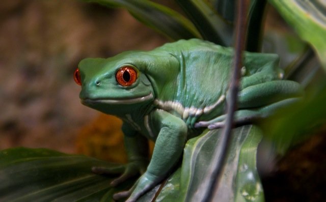 DSC02825 copy-756455.jpeg