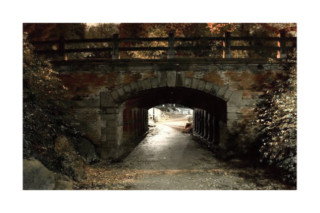 images for print17.jpg