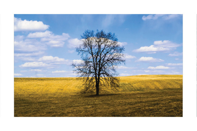 images for print07.jpg