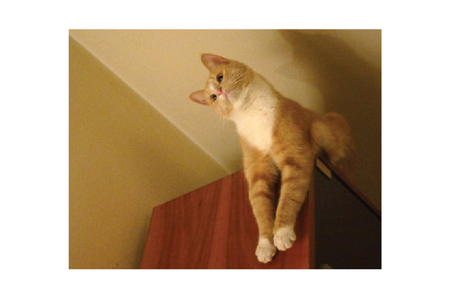 images for print23.jpg