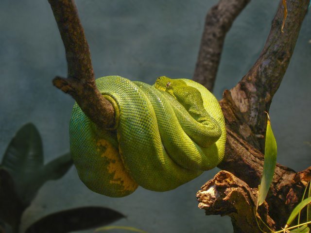 DSC01192 copy-705742.jpg