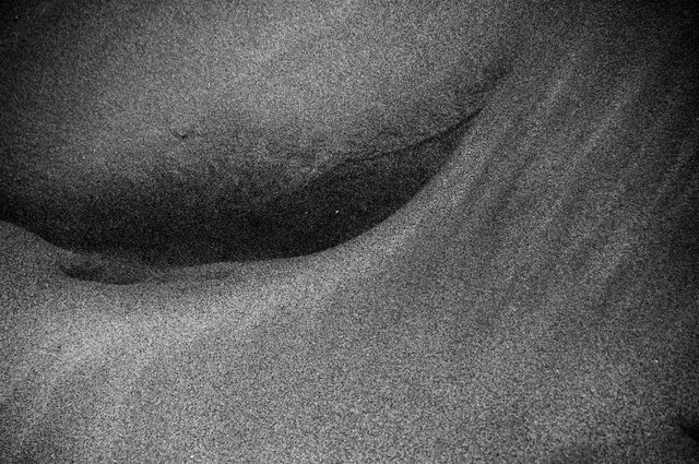 Delta del Ebro_0024.JPG