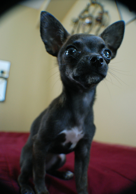 DSC_2680.jpg