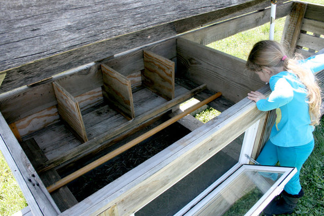 nesting boxes and roost