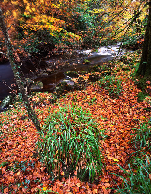 River Avon