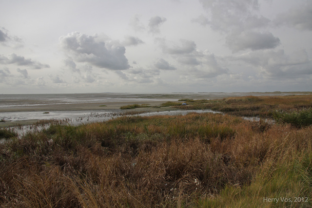 Terschelling