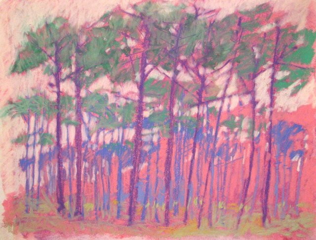 Pines in Gulf Breeze #2, Pastel on Paper, 12" x 16" (approx.)