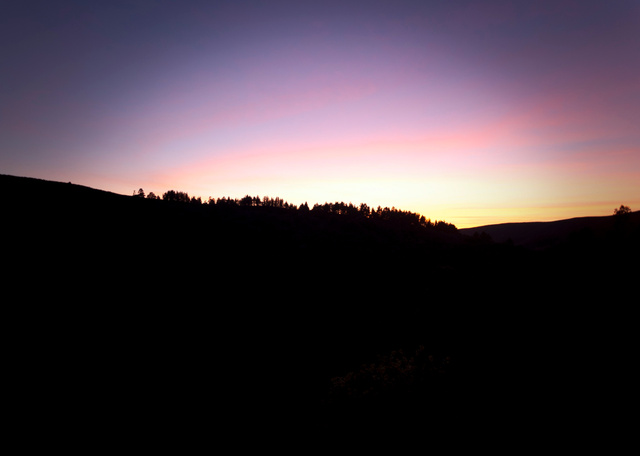 DSC_1256ae10.jpg