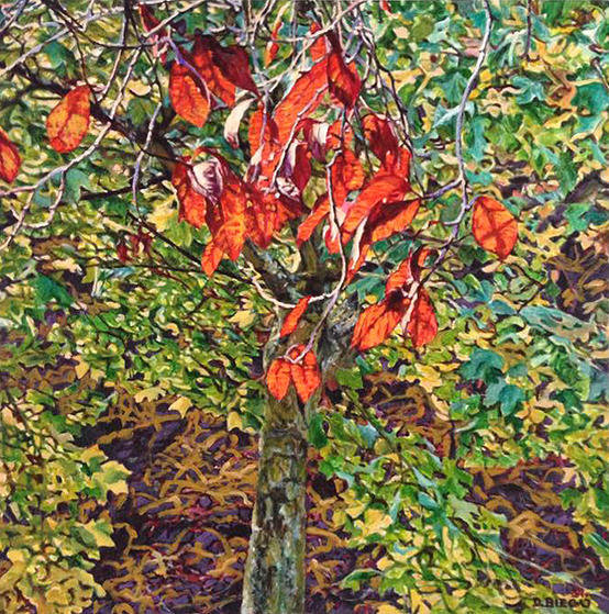 Nature 5 90x90 akryl płótno 2015