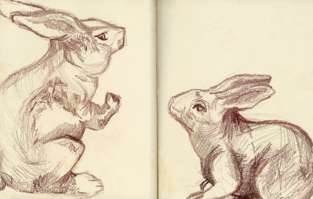 Bunnies