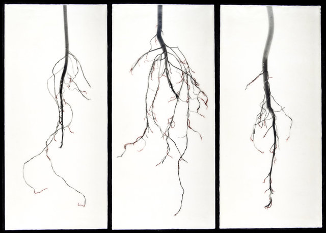 Untitled (morning glory triptych)
