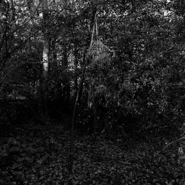 klauw - 2006-03-21 at 14-21-56.jpg