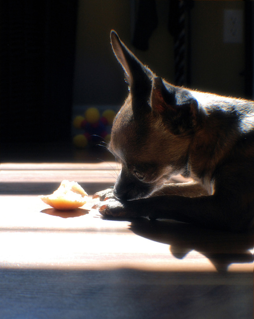 DSC_4913.jpg