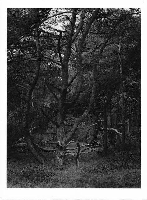 Nirmala, Hoge Veluwe © Rutger Ten Broeke