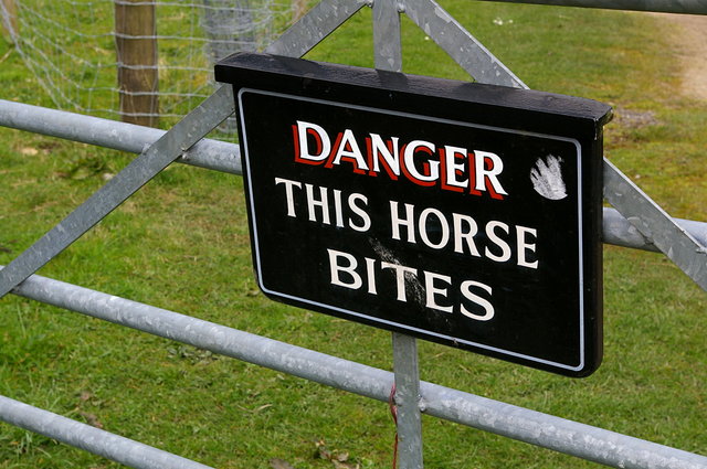 Horse Bites Sign VB.JPG