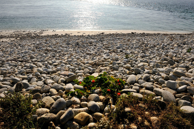 Île Molène, Finistère