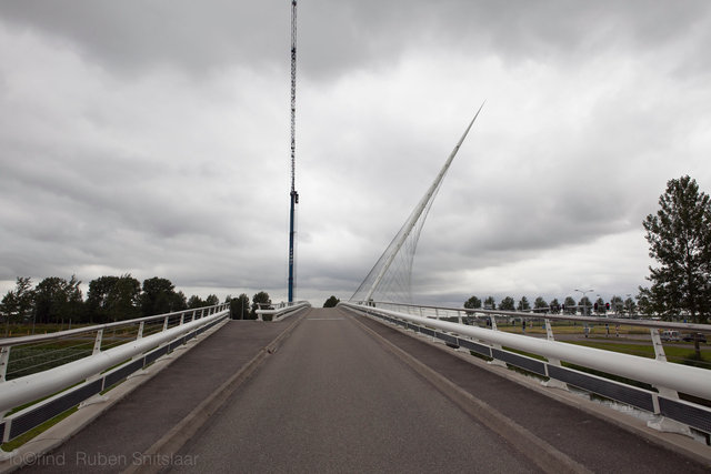 _MG_2769.jpg