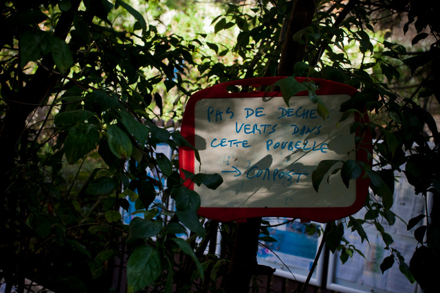 _MG_1167.jpg