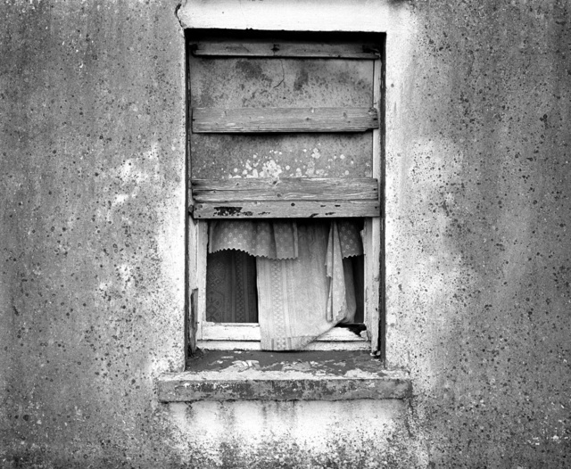 Dongegalwindow.jpg