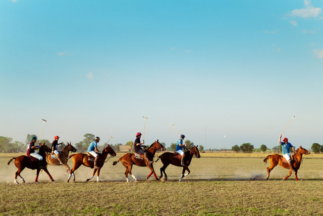 Polo in Argentina II