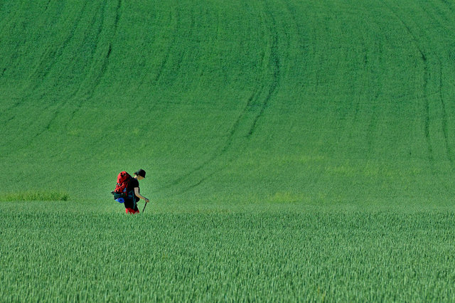 A travers les champs de blés au printemps, Rioja