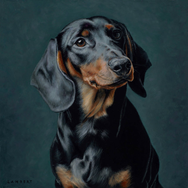 Abedar's Yackson, 2014